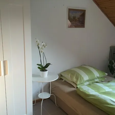 Pavlinka Apartman *
